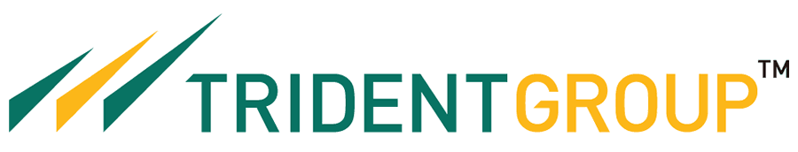 trident-group-vector-logo-e1773397320676.png